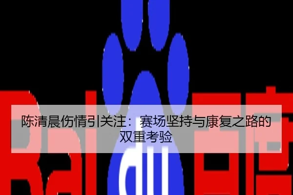 陈清晨伤情引关注：赛场坚持与康复之路的双重考验