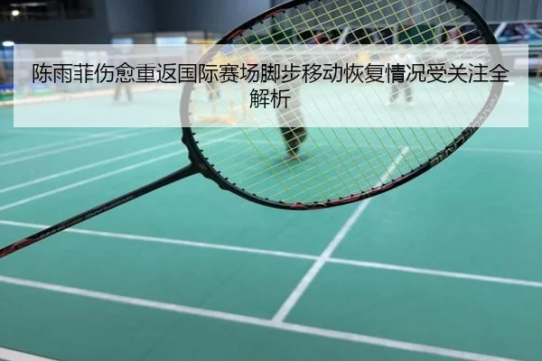 陈雨菲伤愈重返国际赛场脚步移动恢复情况受关注全解析